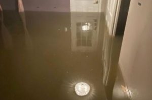 Flooded-Basement-Tampa-Florida