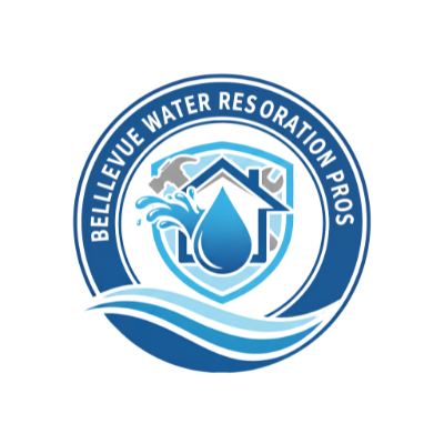 Bellevue Water Restoration Pros